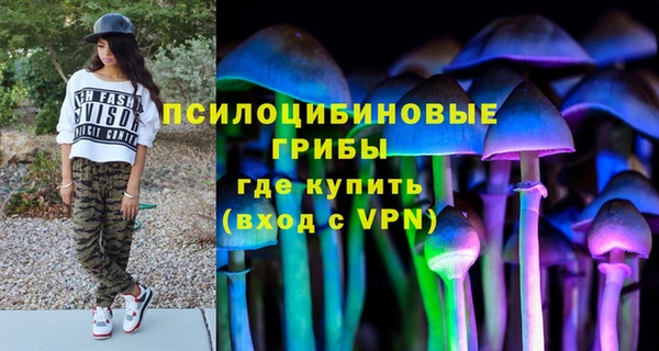 первитин Надым