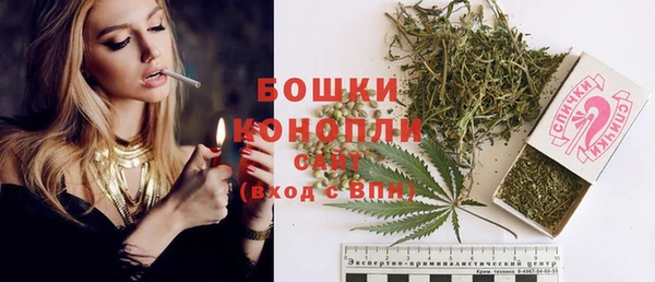 гашик Михайлов