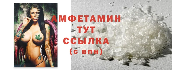 гашик Михайлов